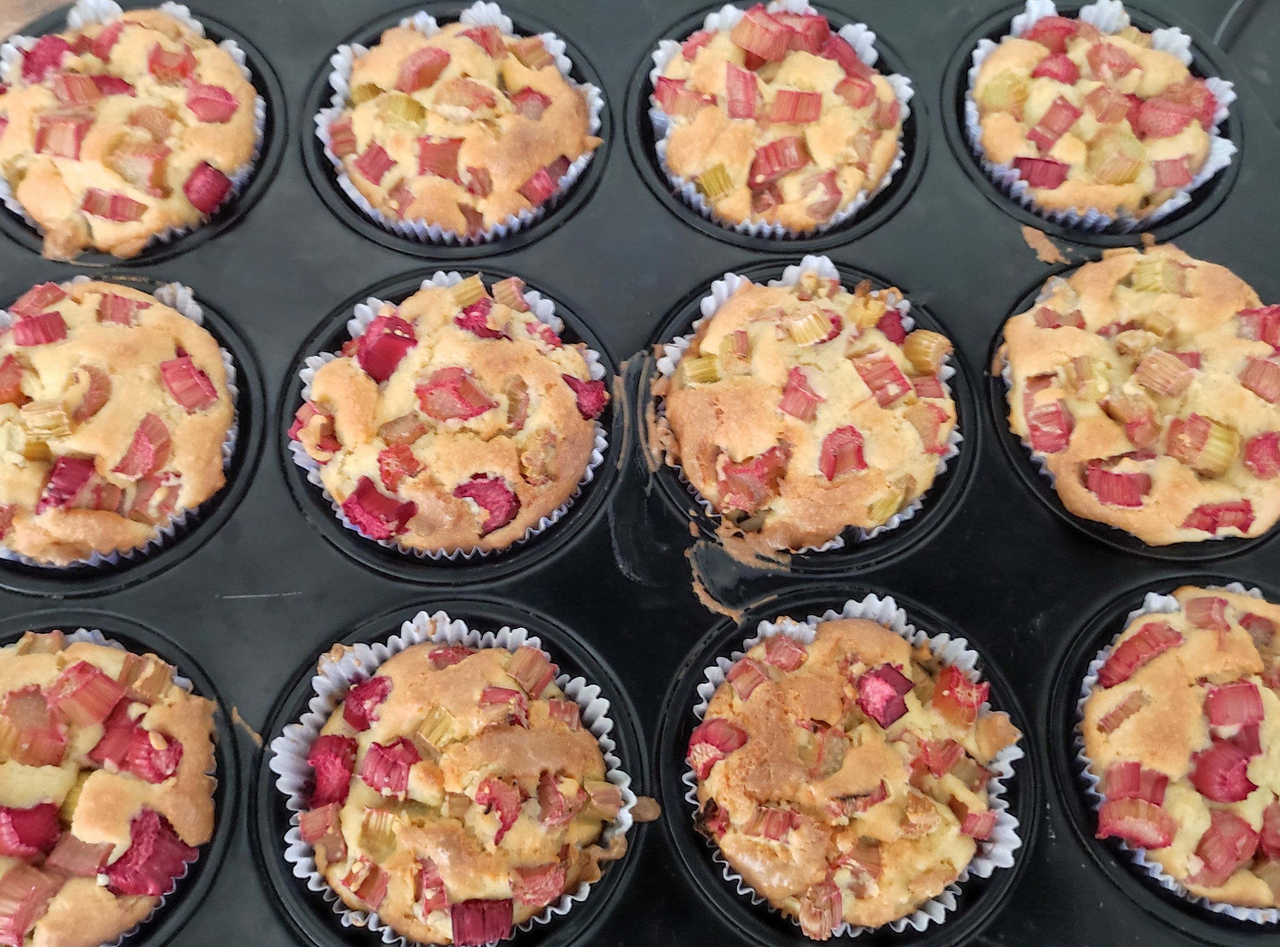 Rhubarb muffins | Kanso by Dr. Schär